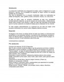 Como se da una Planeación de un proyecto multimedia