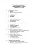 CONTENIDO PARA LA FORMULACION DE UN PLAN DE TRABAJO