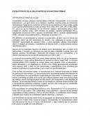 ENSAYO Como se da la Extraccion de celulosa a partir de sus materias primas