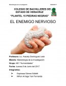 Metodología de la Investigación Humanidades
