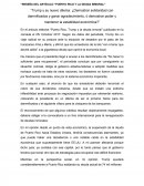 Reseña del artículo “Puerto RIco y la deuda inmoral"