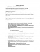 Aparato respiratorio División anatómica: vías respiratorias y pulmones