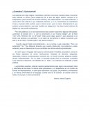 Gramatica y ortografia