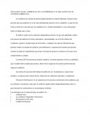 SITUACION LEGAL-AMBIENTAL DE LAS EMPRESAS Y SU RELACION CON EL AUDITOR AMBIENTAL