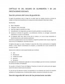 CAPÍTULO VII DEL SEGURO DE GUARDERÍAS Y DE LAS PRESTACIONES SOCIALES