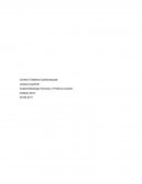 Anatomofisiologia Humana y Primeros Auxilios Control 5 Sistema Cardiovascular