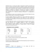 H. pylori practica laboratorio