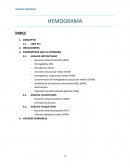 HEMOGRAMA ensayo