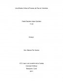 Una Mirada Crítica al Proceso de Paz en Colombia