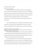 La mezcla de la mercadotecnia (4P´s)