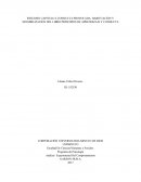 CONDUCTA PROVOCADA, HABITUACIÓN Y SENSIBILIZACIÓN DEL LIBRO PRINCIPIOS DE APRENDIZAJE Y CONDUCTA