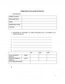 Formato evaluación prácticas técnicas profesionales