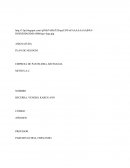 PLAN DE NEGOCIO EMPRESA DE PASTELERIA ARTESANAL MITHI S.A.C.