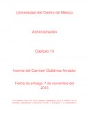 Administración Capitulo 13