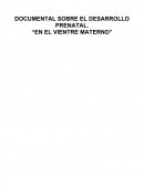 DOCUMENTAL SOBRE EL DESARROLLO PRENATAL. “EN EL VIENTRE MATERNO”