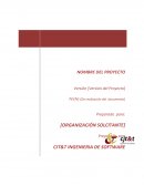 CJT&T INGENIERIA DE SOFTWARE