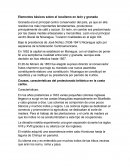 Elementos básicos sobre el localismo en león y granada