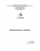 IMPOSICIÓN ESTADAL Y MUNICIPAL