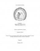 Los nuevos movimientos sociales y políticos ante el ataque neoliberal. Las nueve estrategias imperialistas terrorismo, resistencia y militarismo
