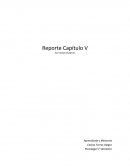 Capitulo V, Principios del Aprendizaje