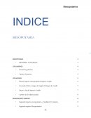 ARQUITECTURA VERNACULA MESOPOTAMIA