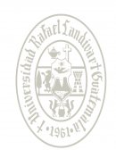 Anatomia sexual masculina