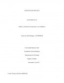 ACTIVIDAD NO. 4 Deberes y derechos de las personas y los ciudadanos