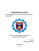 “PERSONAL DEL SUPERMERCADO PLAZA VEA EN LA CIUDAD DE SULLANA, PERU 2017”