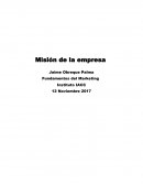Mision de la empresa INFORMES