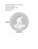 SISTEMA ATMOSFÉRICO