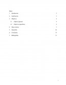 La descripcion de las 5 s