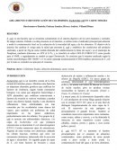 AISLAMIENTO E IDENTIFICACIÓN DE COLIFORMES, Escherichia coli EN CARNE MOLIDA