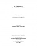 FUNCIONES CNCS CARLOS GABRIEL QUIÑONEZ QUINTERO