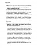 Práctica Tema 4 IAE ACTIVIDAD 1