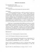 ¿Cuáles son las bases fenomenológicas de la experiencia estética?