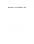 MERCADO DE LOS TIQUETES AEREOS EN COLOMBIA