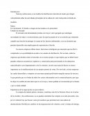 Naicorp confecciones es un modelo de distribucion minorista de moda