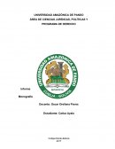 Como elaborar una monogafia