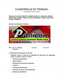 PLAN DE NEGOCIOS EJEMPLO Publicom