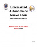 Informes sobre la Actividad de metacognicion pema