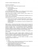 Conceptos sociológicos fundamentales. Weber