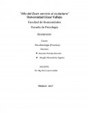 INFORME DE ANAMNESIS