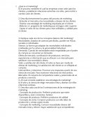¿Qué es el marketing? Es el proceso mediante el cual las empresas crean valor para los