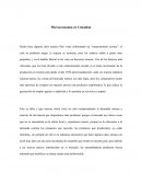 Microeconomía en Colombia