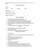 Encuesta de embarazo