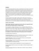 Ensayo sobre el Ejercicio 1 Simulación empresarial