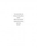 Como se da el Fundamento de economia semana 3