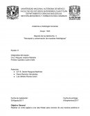 Necropsia y conservación de muestras histológicas