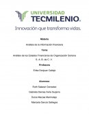 Análisis de los Estados Financieros de Organización Soriana S. A. B. de C. V.