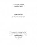 COMO ACTUA UN RIESGO PSICOLOGICO